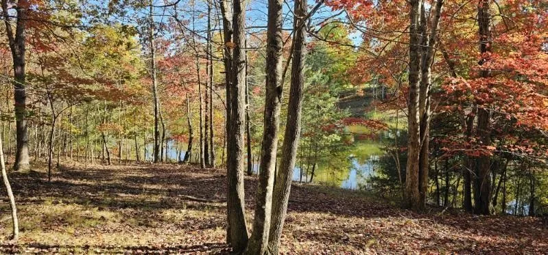 515 Wilderness Way Dunlap, TN 37327