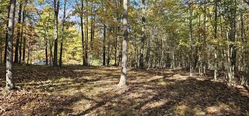 515 Wilderness Way Dunlap, TN 37327