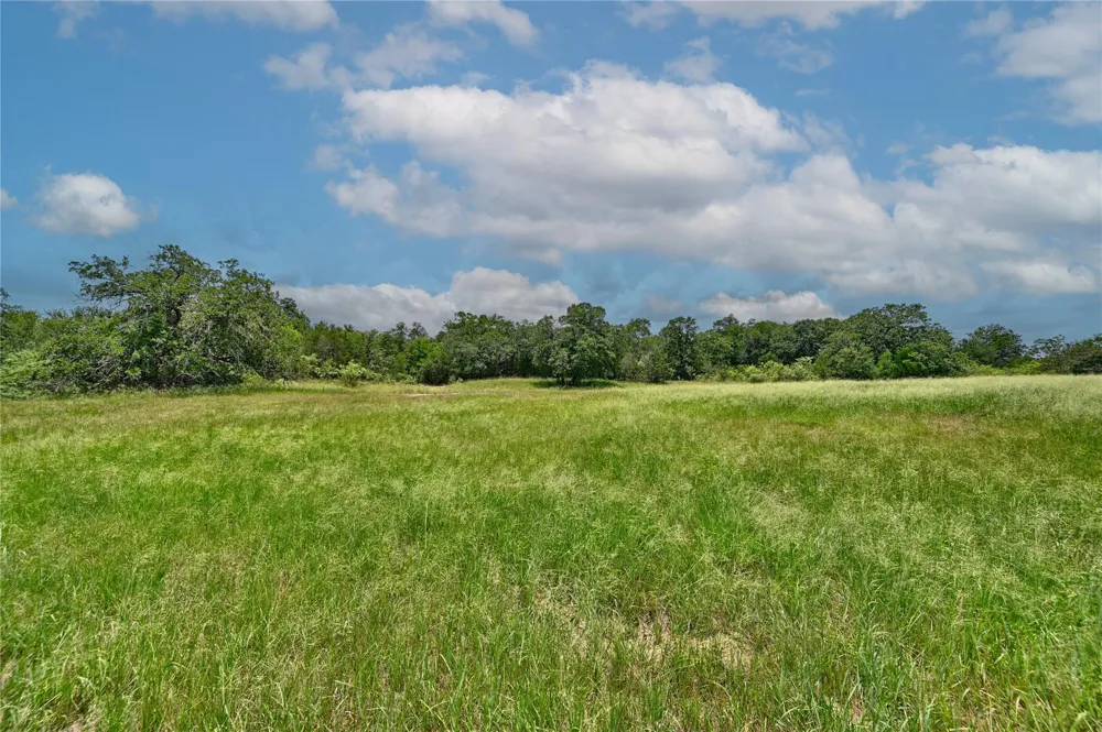159 Starlight Path Red Rock, TX 78662