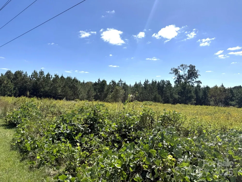 1178 Pea Ridge Road Mill Spring, NC 28756