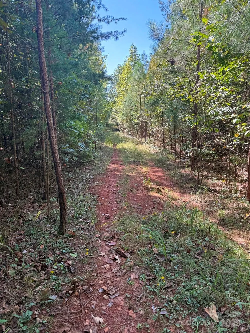 1178 Pea Ridge Road Mill Spring, NC 28756