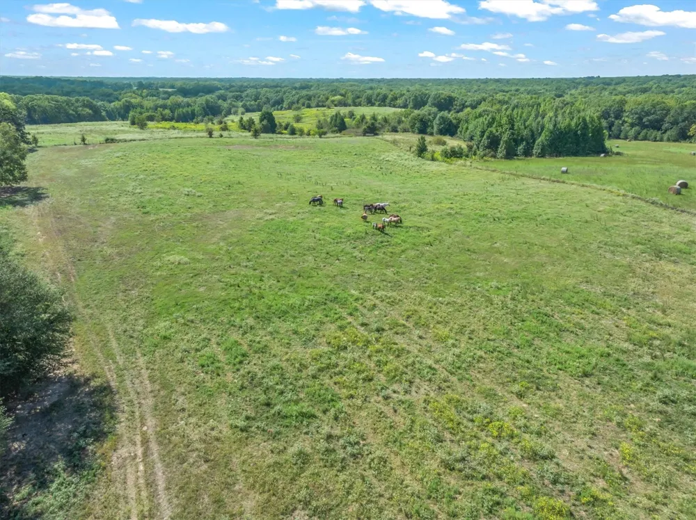 VZ County Road 1905 Fruitvale, TX 75127