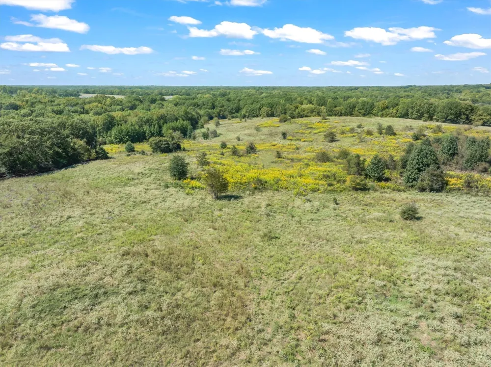 VZ County Road 1905 Fruitvale, TX 75127