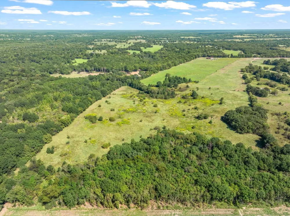 VZ County Road 1905 Fruitvale, TX 75127
