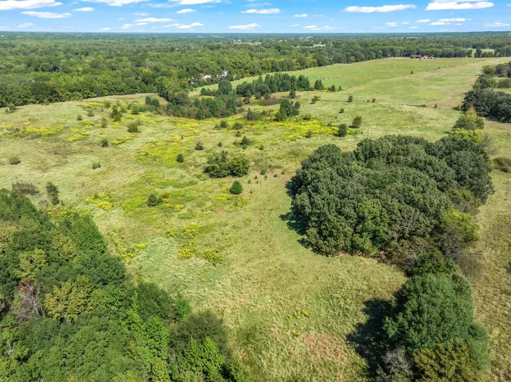 VZ County Road 1905 Fruitvale, TX 75127