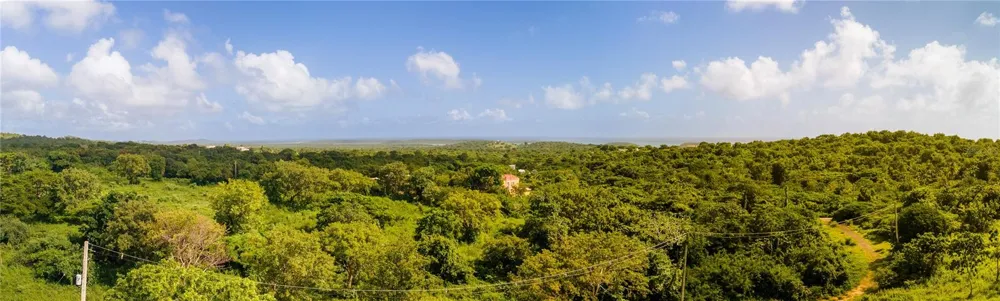 1 PR-995 Vieques, PR 00765