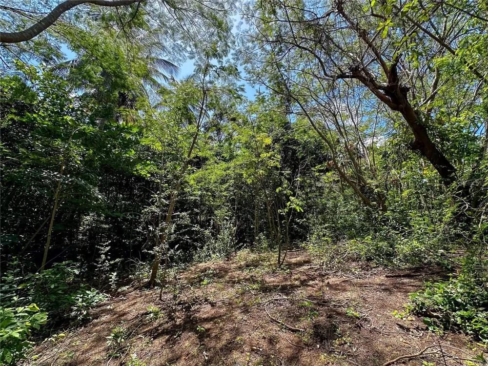 13 PR-997 Vieques, PR 00765