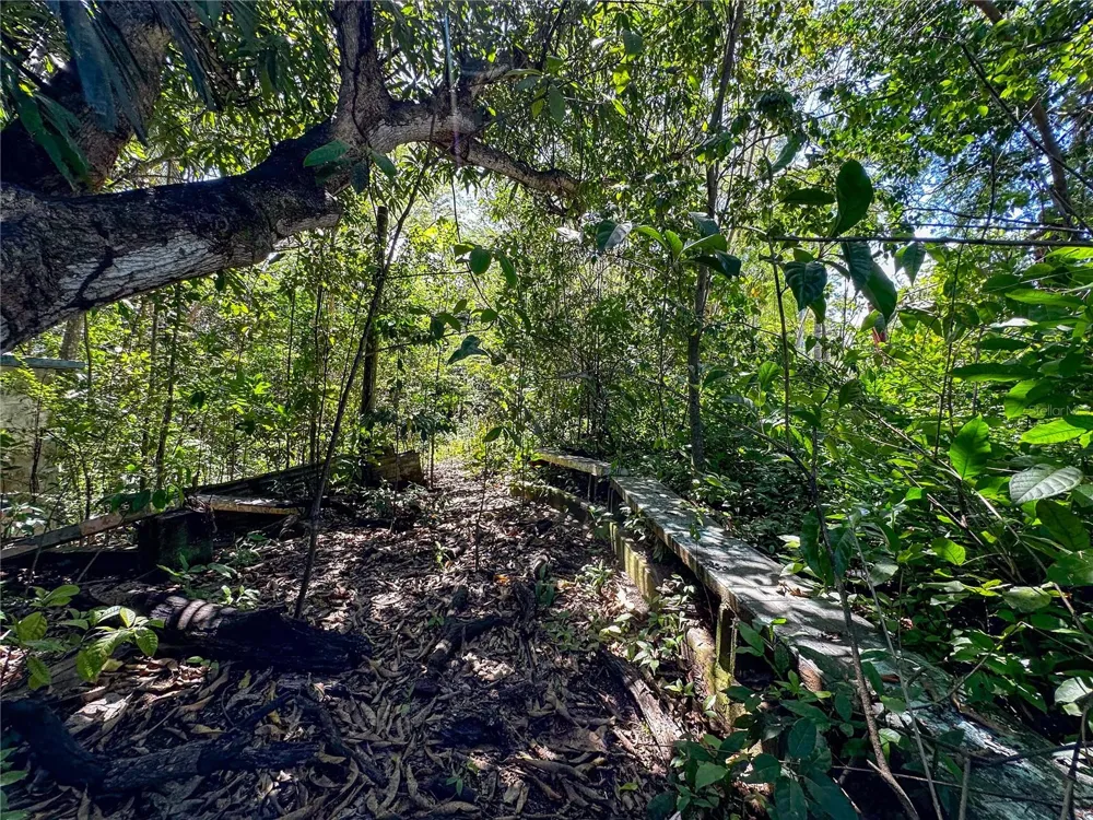 13 PR-997 Vieques, PR 00765