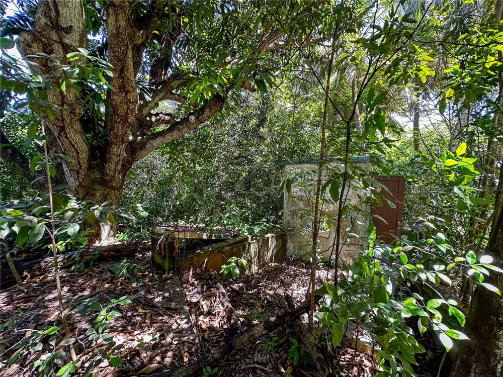13 PR-997 Vieques, PR 00765