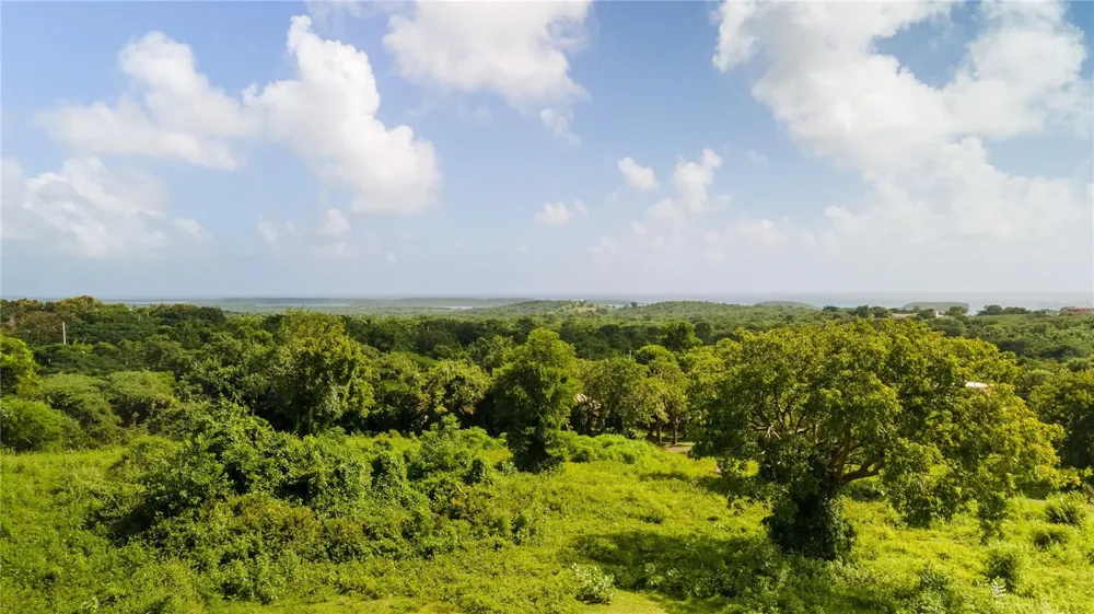 4 PR-995 Vieques, PR 00765