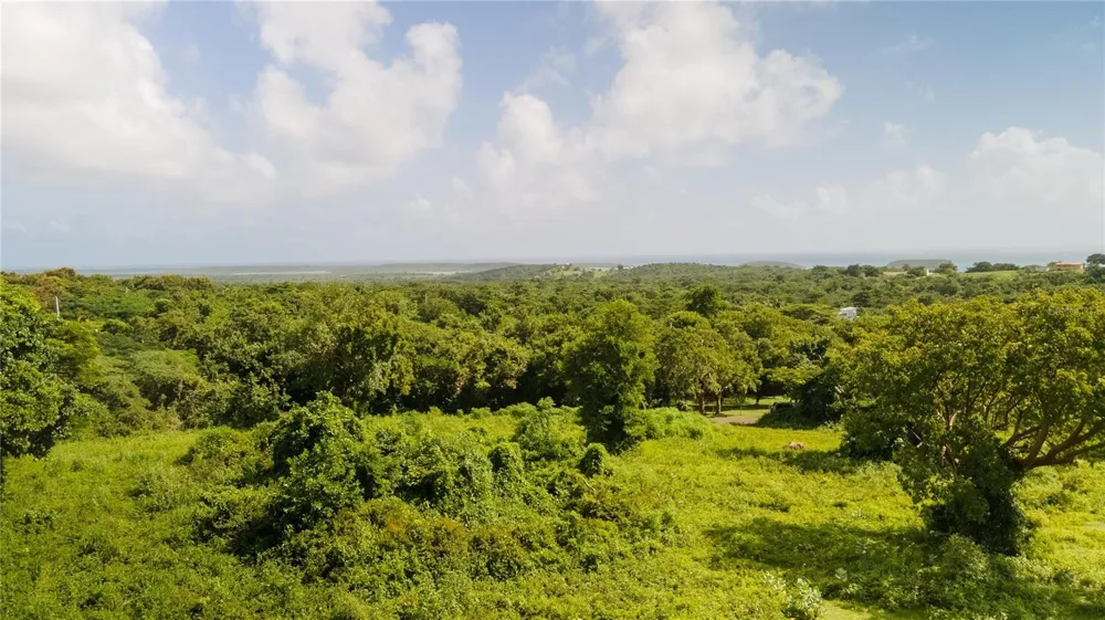 4 PR-995 Vieques, PR 00765