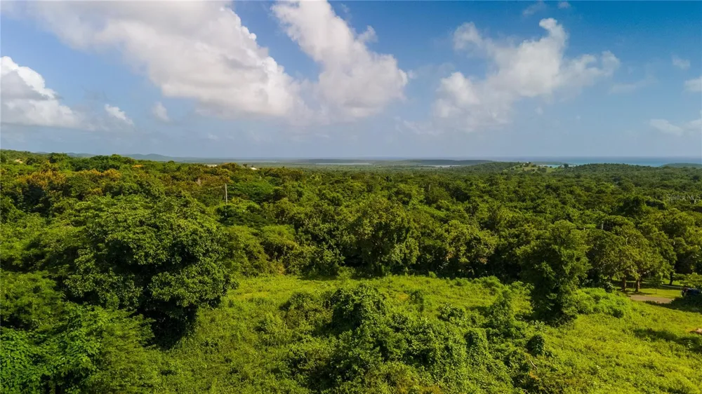 4 PR-995 Vieques, PR 00765
