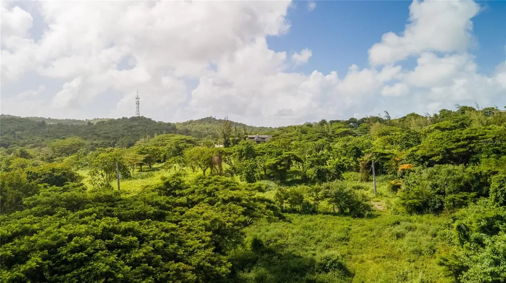 4 PR-995 Vieques, PR 00765