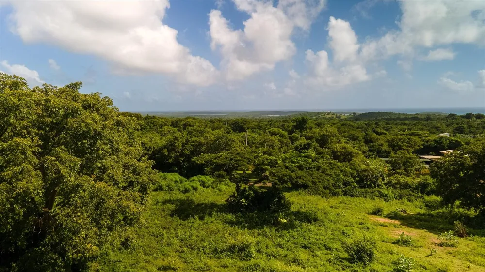 4 PR-995 Vieques, PR 00765