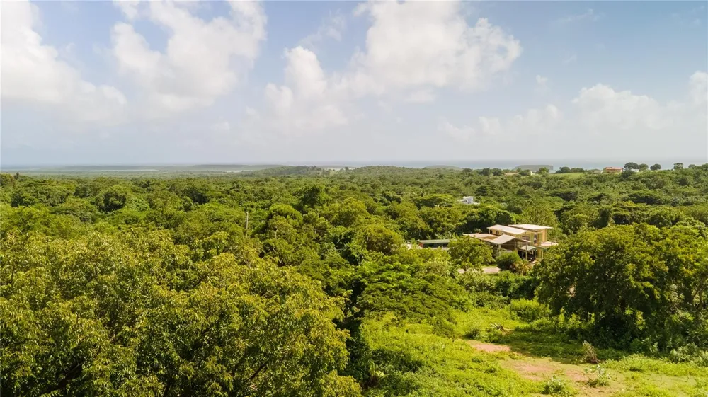 4 PR-995 Vieques, PR 00765