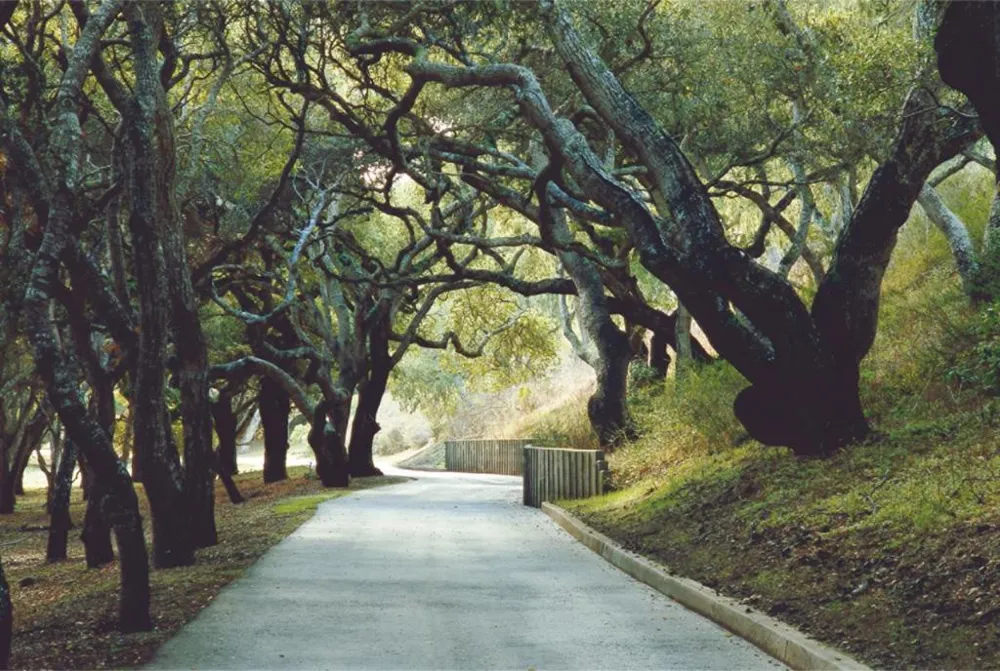 25825 Via Malpaso (Lot 68) Carmel, CA 93923