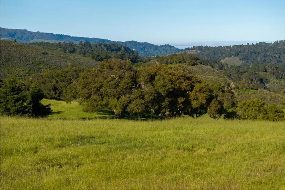 25825 Via Malpaso (Lot 68) Carmel, CA 93923