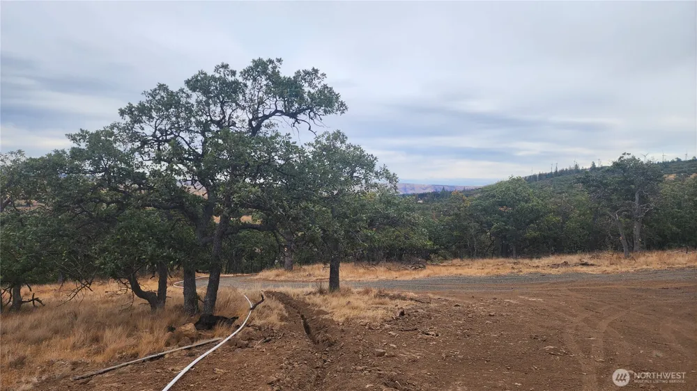 295 Oak Flatt Road Goldendale, WA 98620