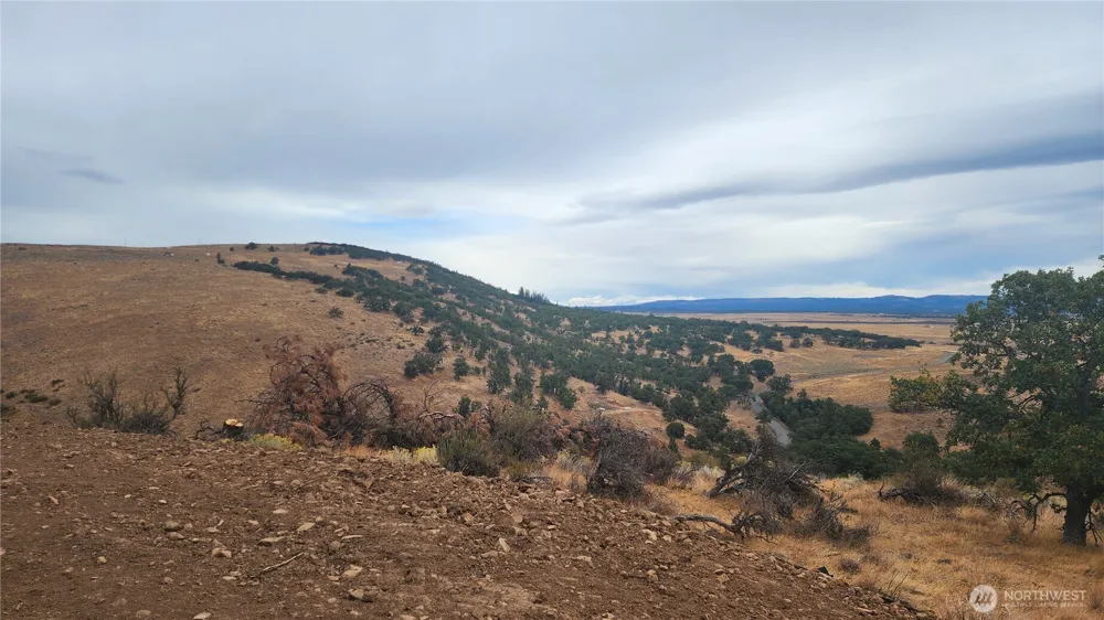 295 Oak Flatt Road Goldendale, WA 98620