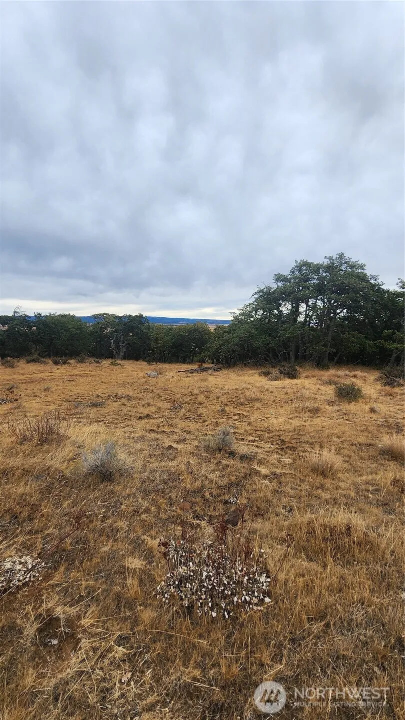 295 Oak Flatt Road Goldendale, WA 98620