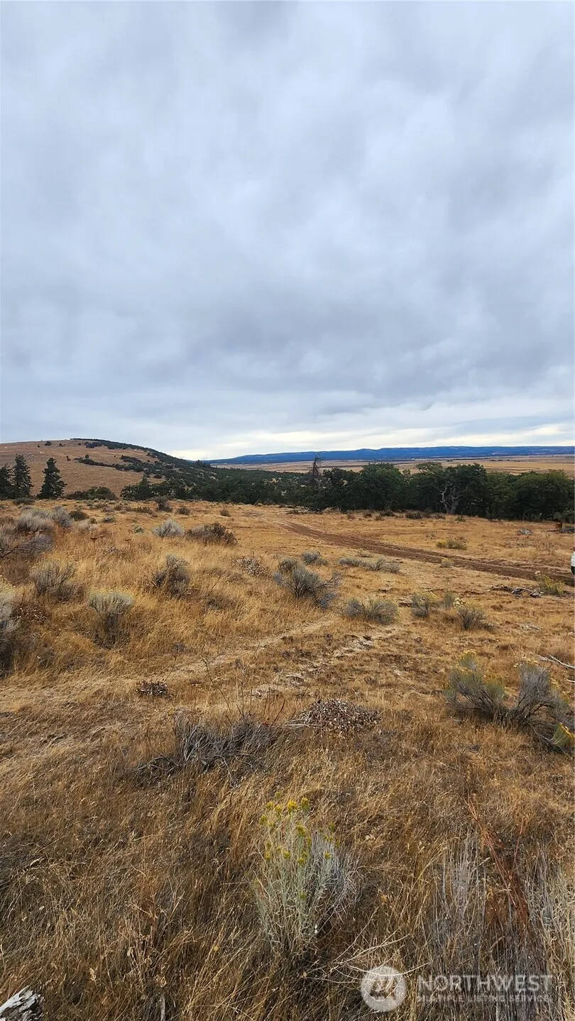295 Oak Flatt Road Goldendale, WA 98620