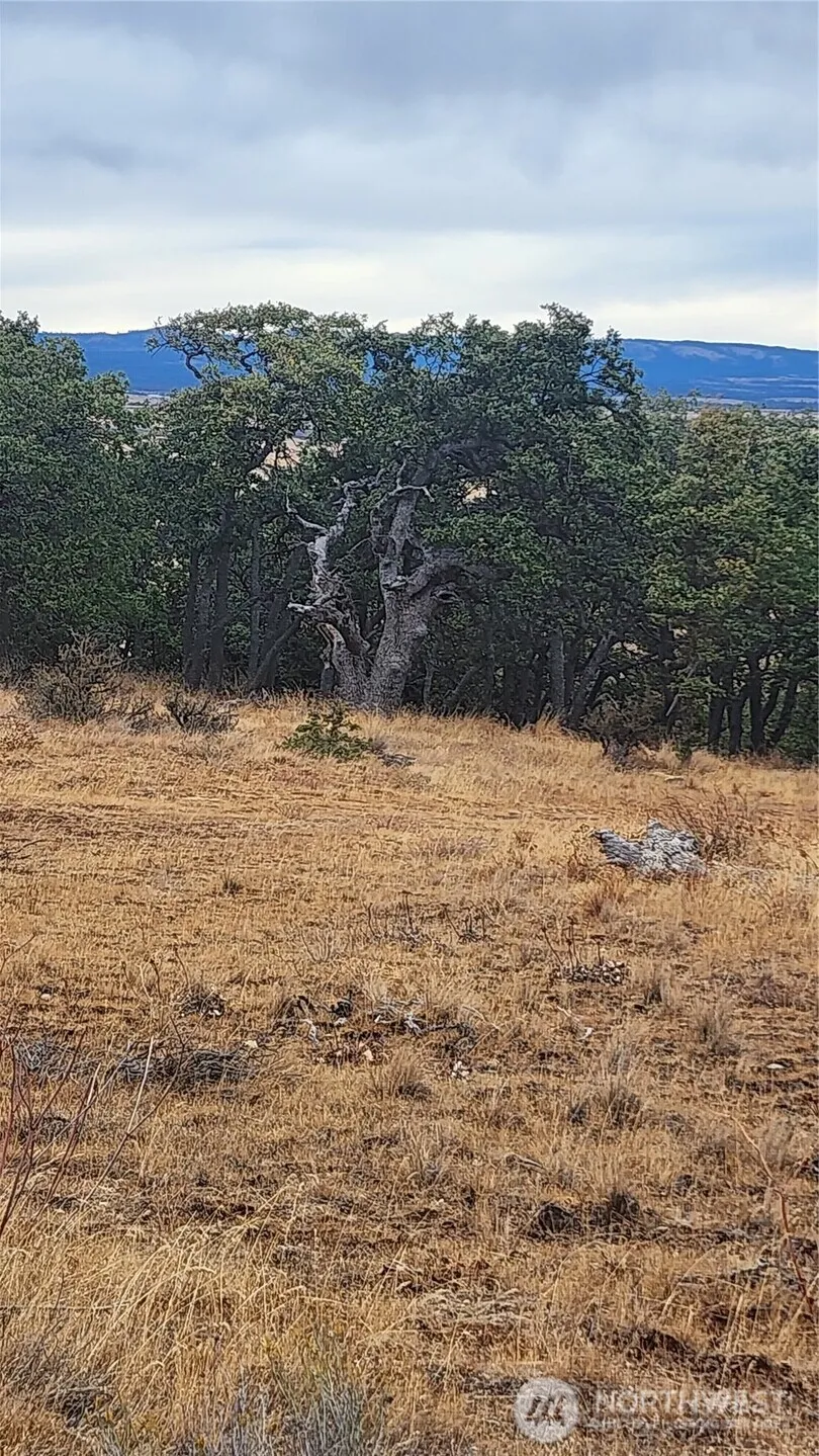 295 Oak Flatt Road Goldendale, WA 98620