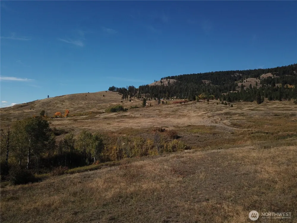 0 Honeysuckle Lane Curlew, WA 99118