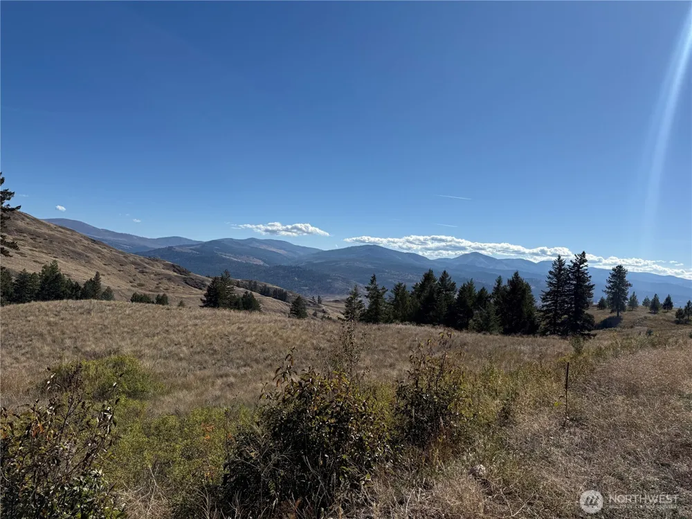 0 Honeysuckle Lane Curlew, WA 99118