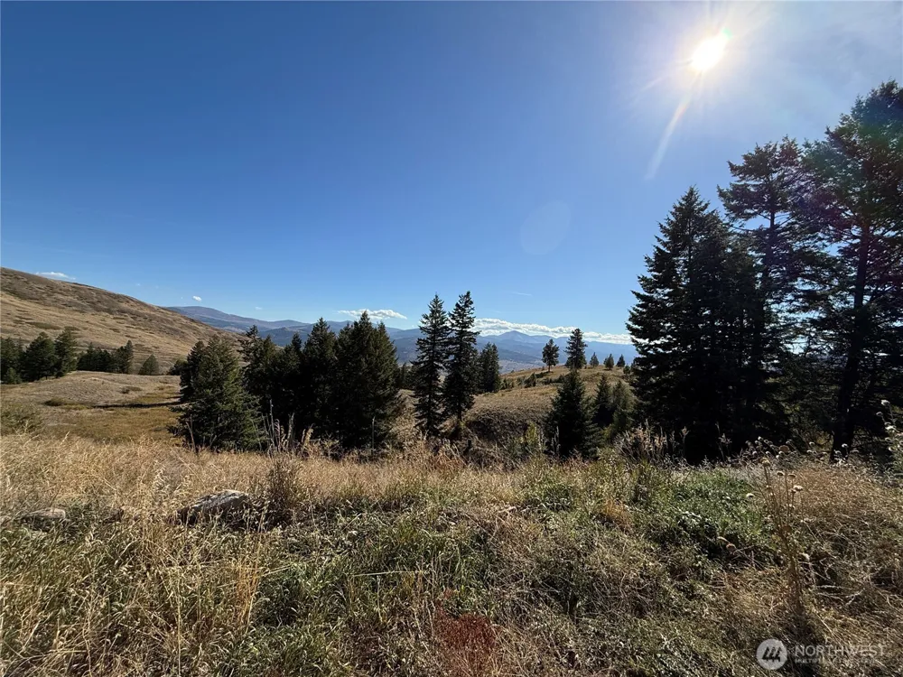 0 Honeysuckle Lane Curlew, WA 99118
