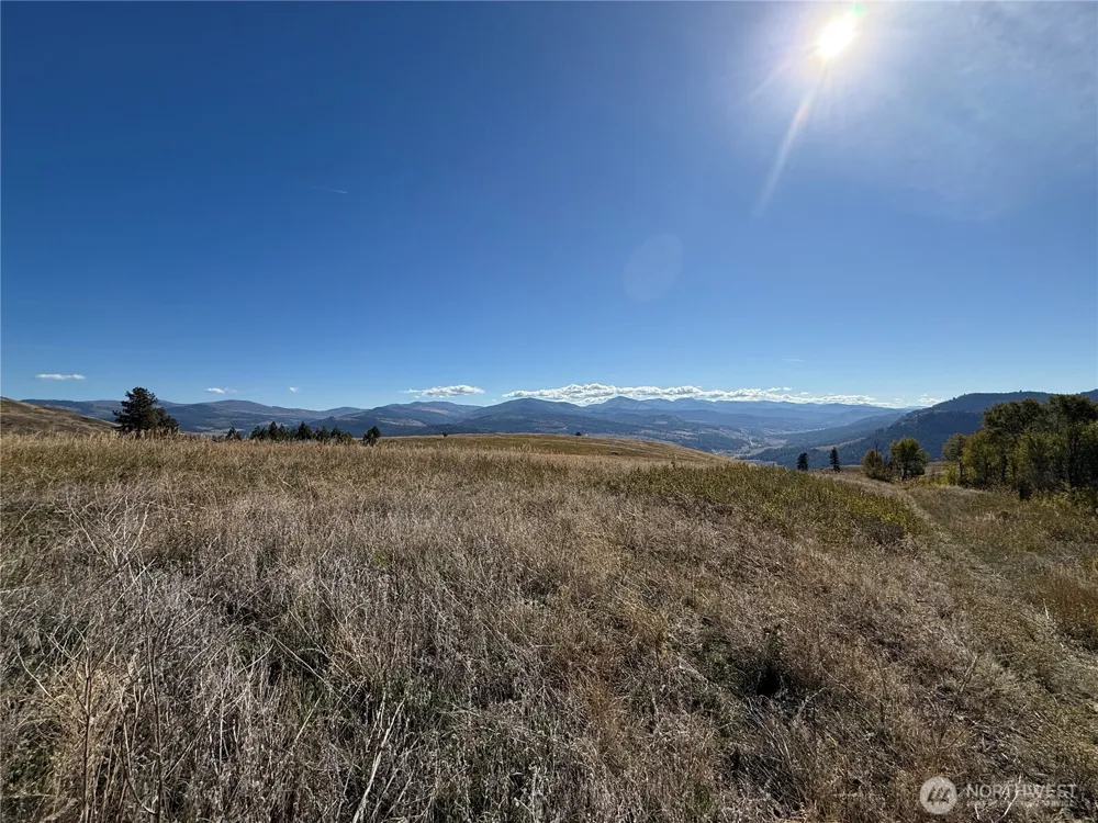 0 Honeysuckle Lane Curlew, WA 99118