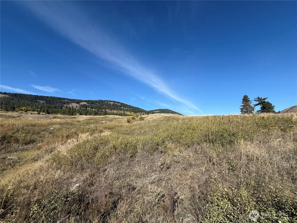 0 Honeysuckle Lane Curlew, WA 99118