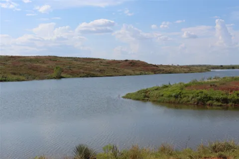 800 ACRES