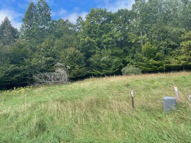 Opal Ridge Onekama, MI 49675