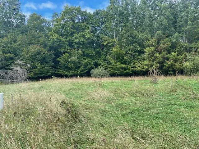 Opal Ridge Onekama, MI 49675