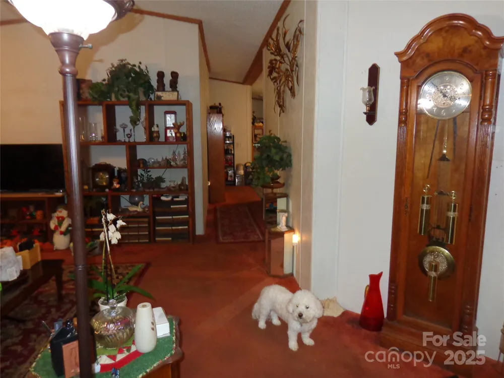 89 Blue Mountain Road Fairview, NC 28730