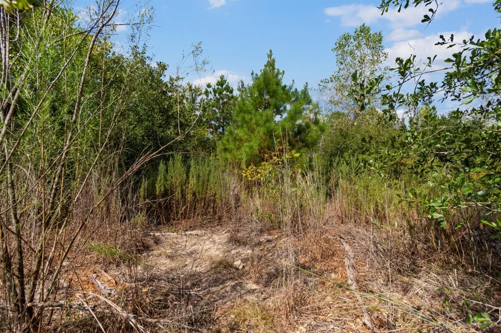 Tonkawa Drive Paige, TX 78659