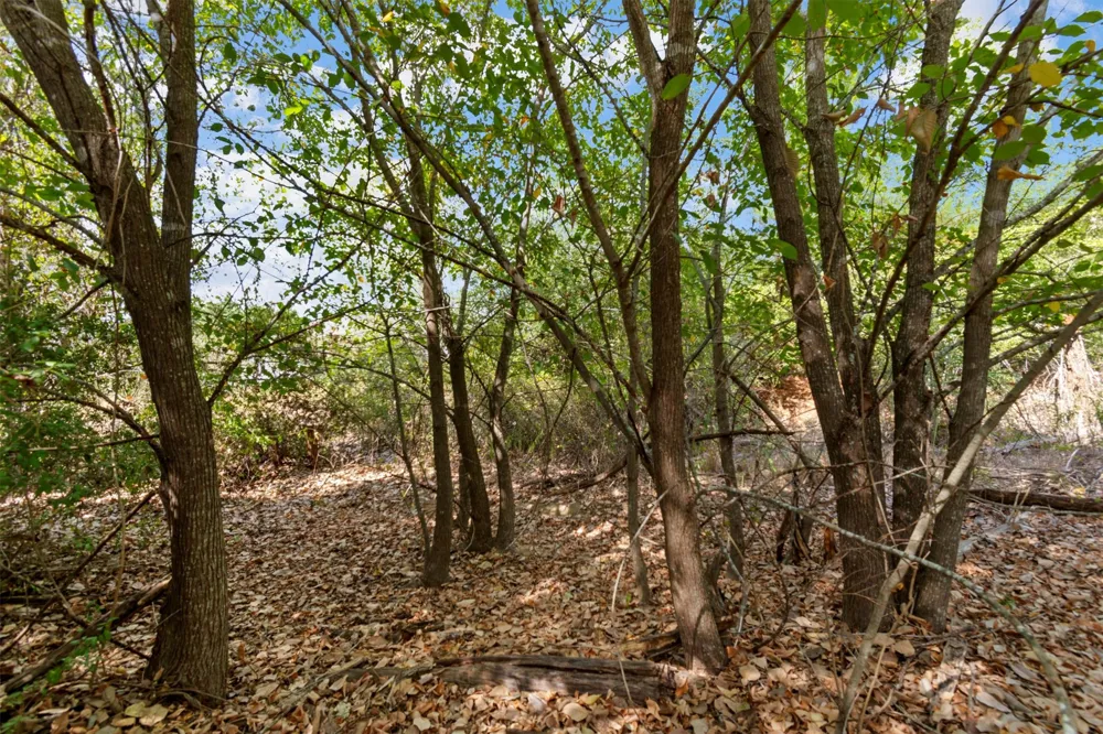 Tonkawa Drive Paige, TX 78659