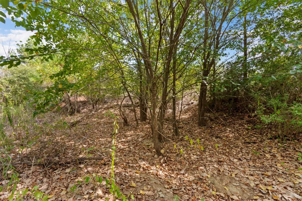 Tonkawa Drive Paige, TX 78659