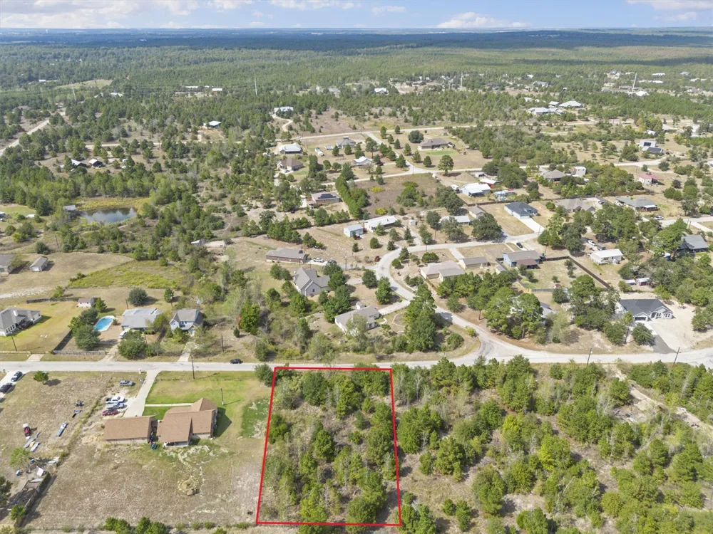 Tonkawa Drive Paige, TX 78659