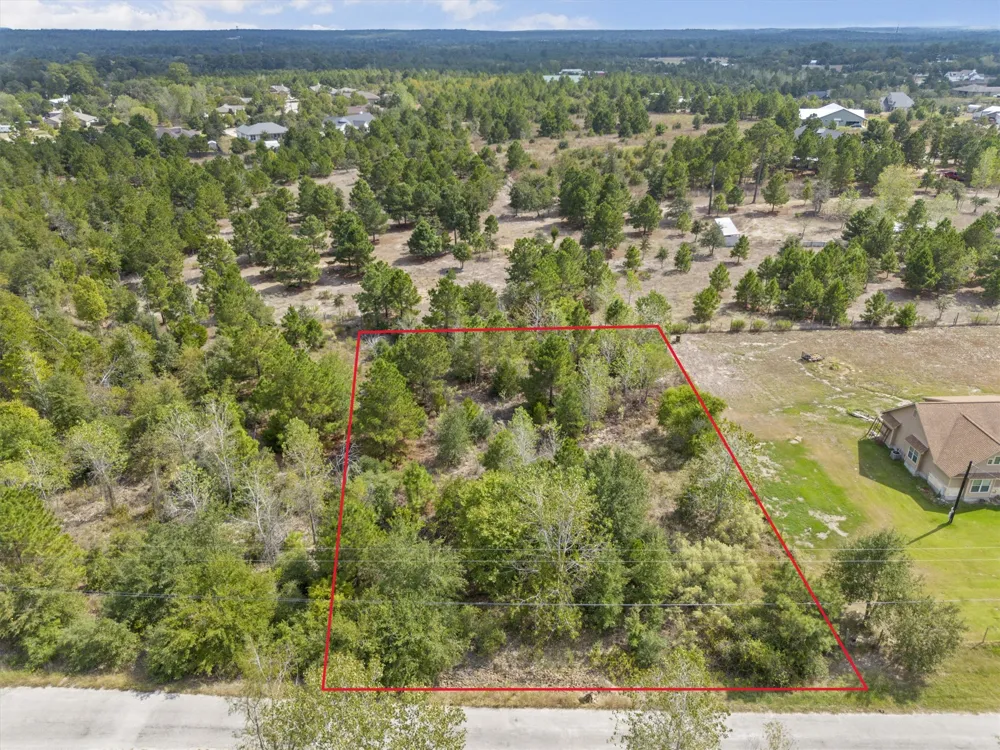 Tonkawa Drive Paige, TX 78659
