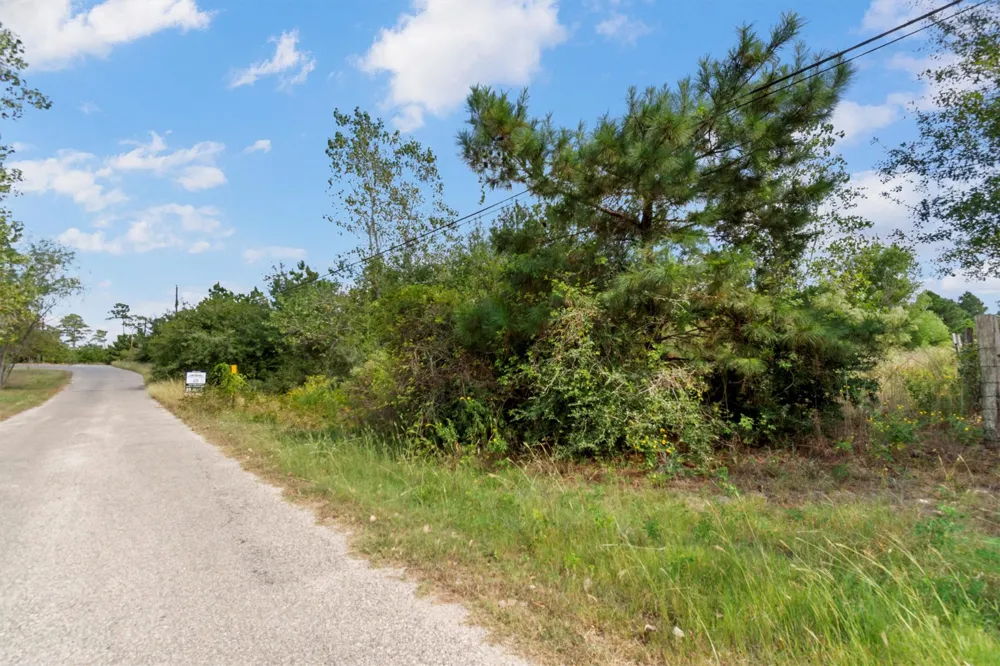 Tonkawa Drive Paige, TX 78659