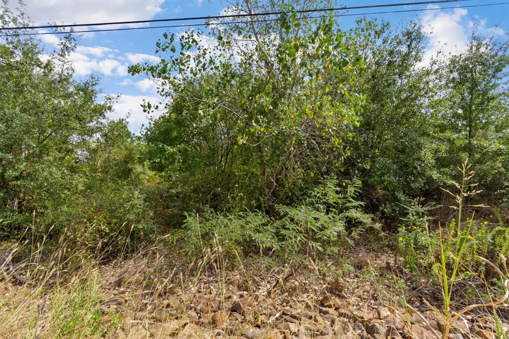 Tonkawa Drive Paige, TX 78659