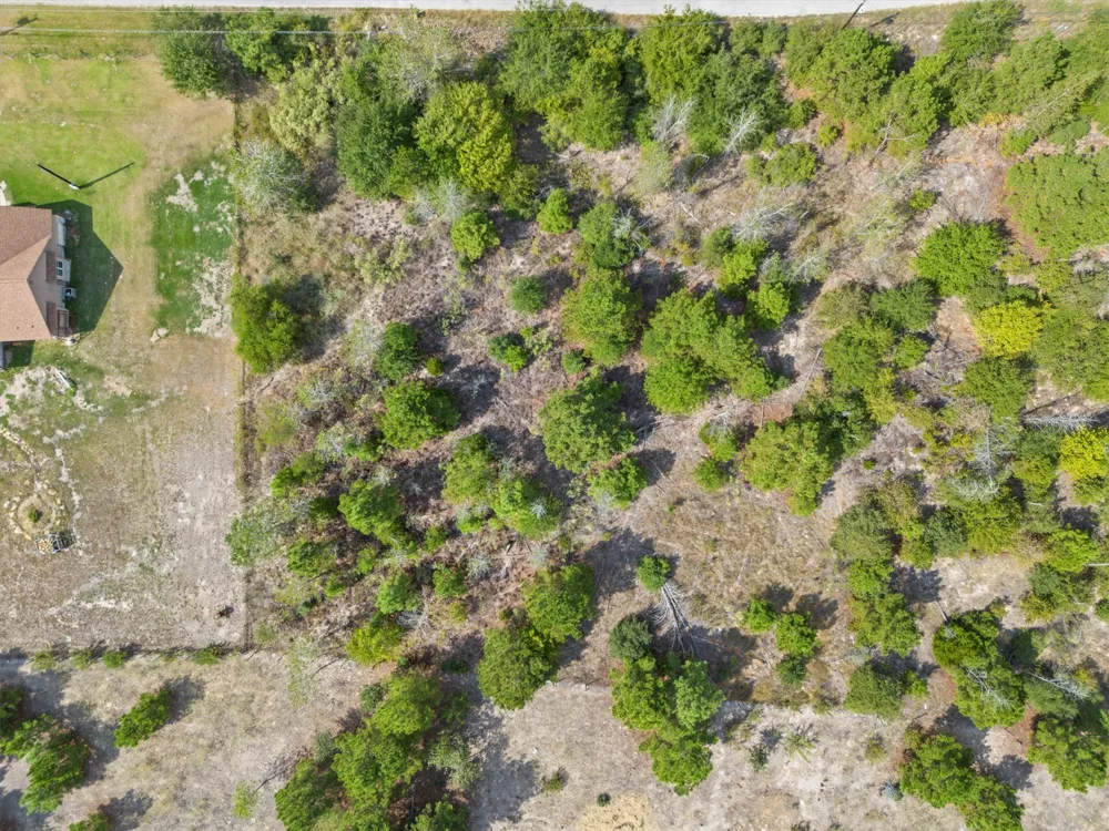 Tonkawa Drive Paige, TX 78659