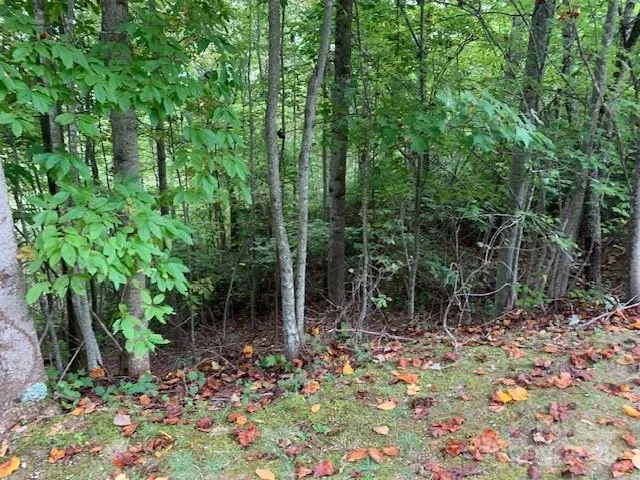 105 CROSSVINE TRAIL #15 Laurel Park, NC 28739