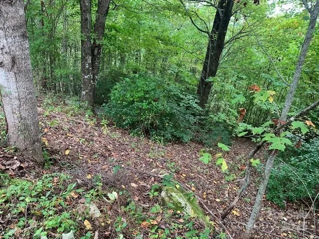 105 CROSSVINE TRAIL #15 Laurel Park, NC 28739