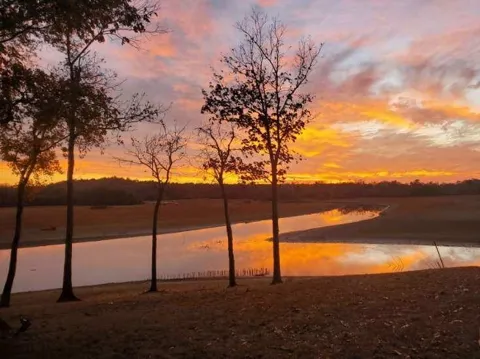 183 Featherfoot Pkwy Loop