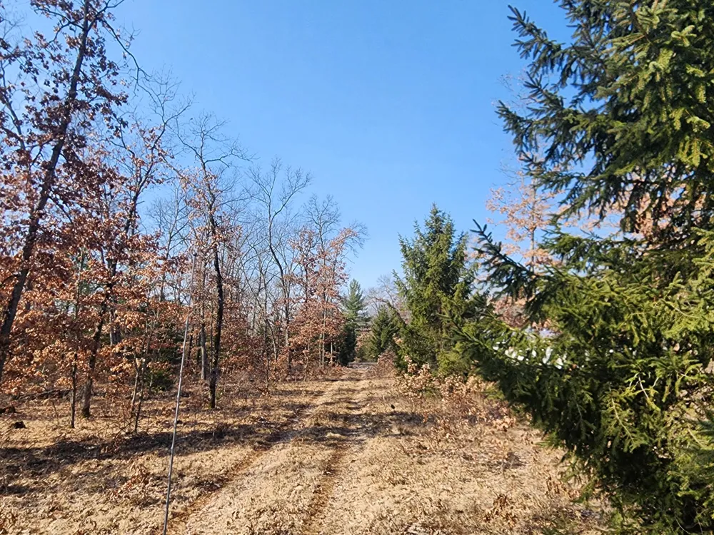 Jeffers Street Irons, MI 49644
