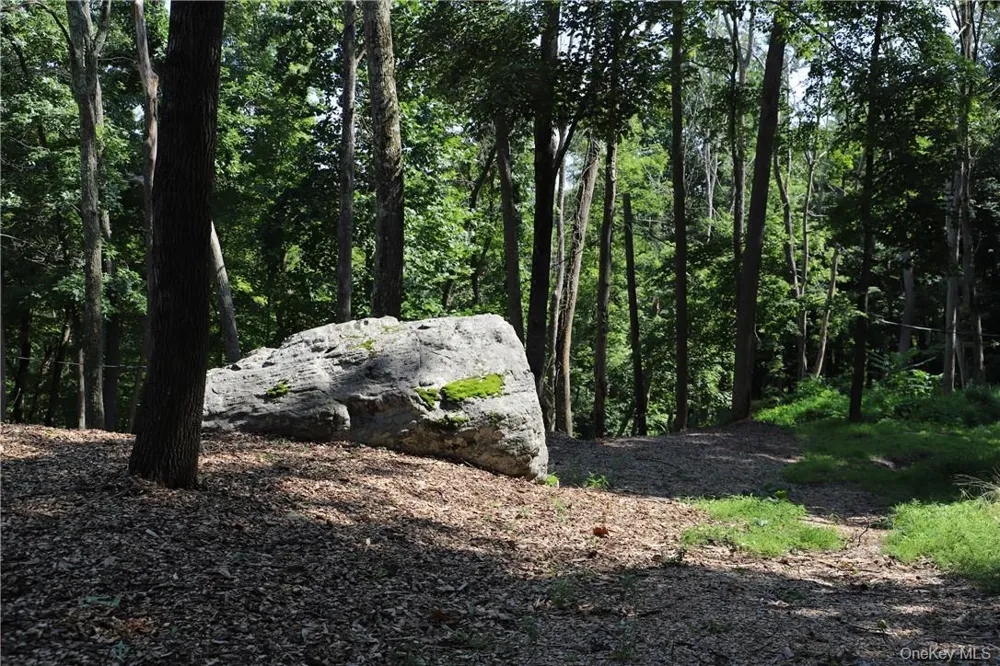 Mountain Farm Road Tuxedo Park, NY 10987