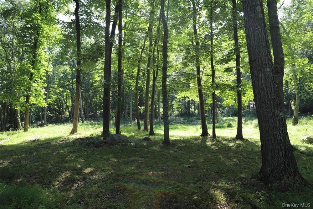 Mountain Farm Road Tuxedo Park, NY 10987