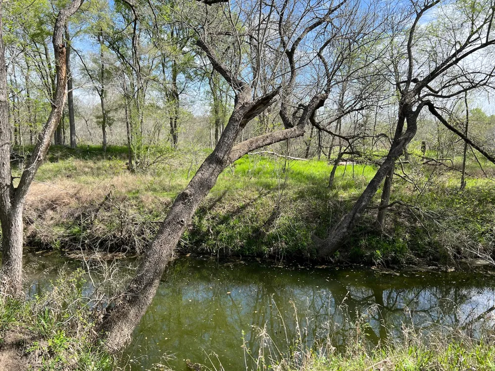 Cunningham Drive Lockhart, TX 78644
